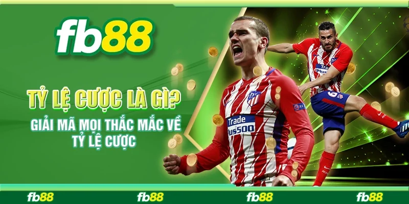 Tỷ Lệ Cược Là Gì? Giải Mã Mọi Thắc Mắc Về Tỷ Lệ Cược