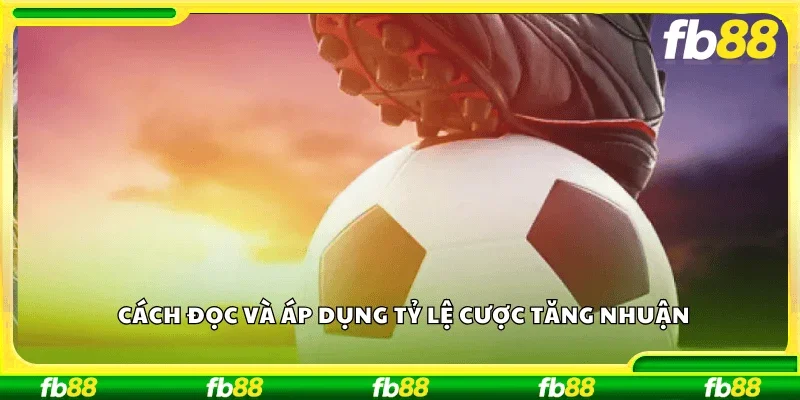 Cách đọc và áp dụng tỷ lệ cược tăng nhuận