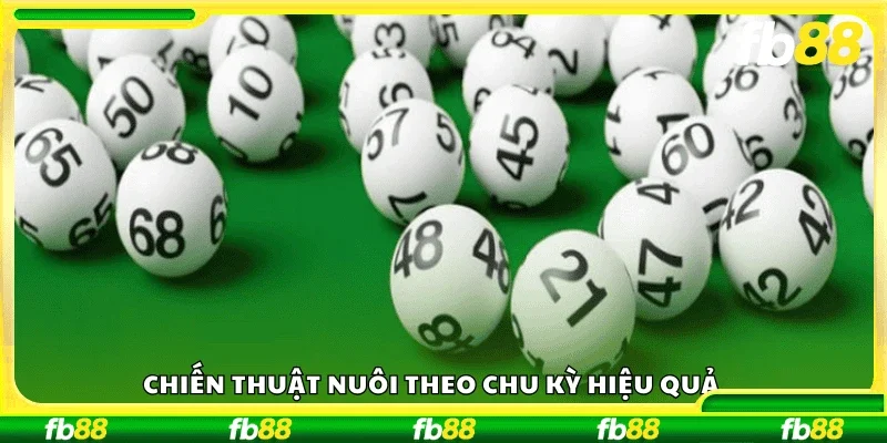 Chiến thuật nuôi theo chu kỳ hiệu quả.