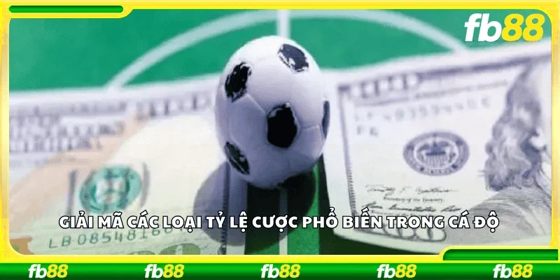 Giải mã các loại tỷ lệ cược phổ biến trong cá độ